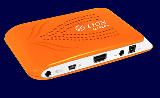 LION Q1920 ENGLISH DB Software Download

